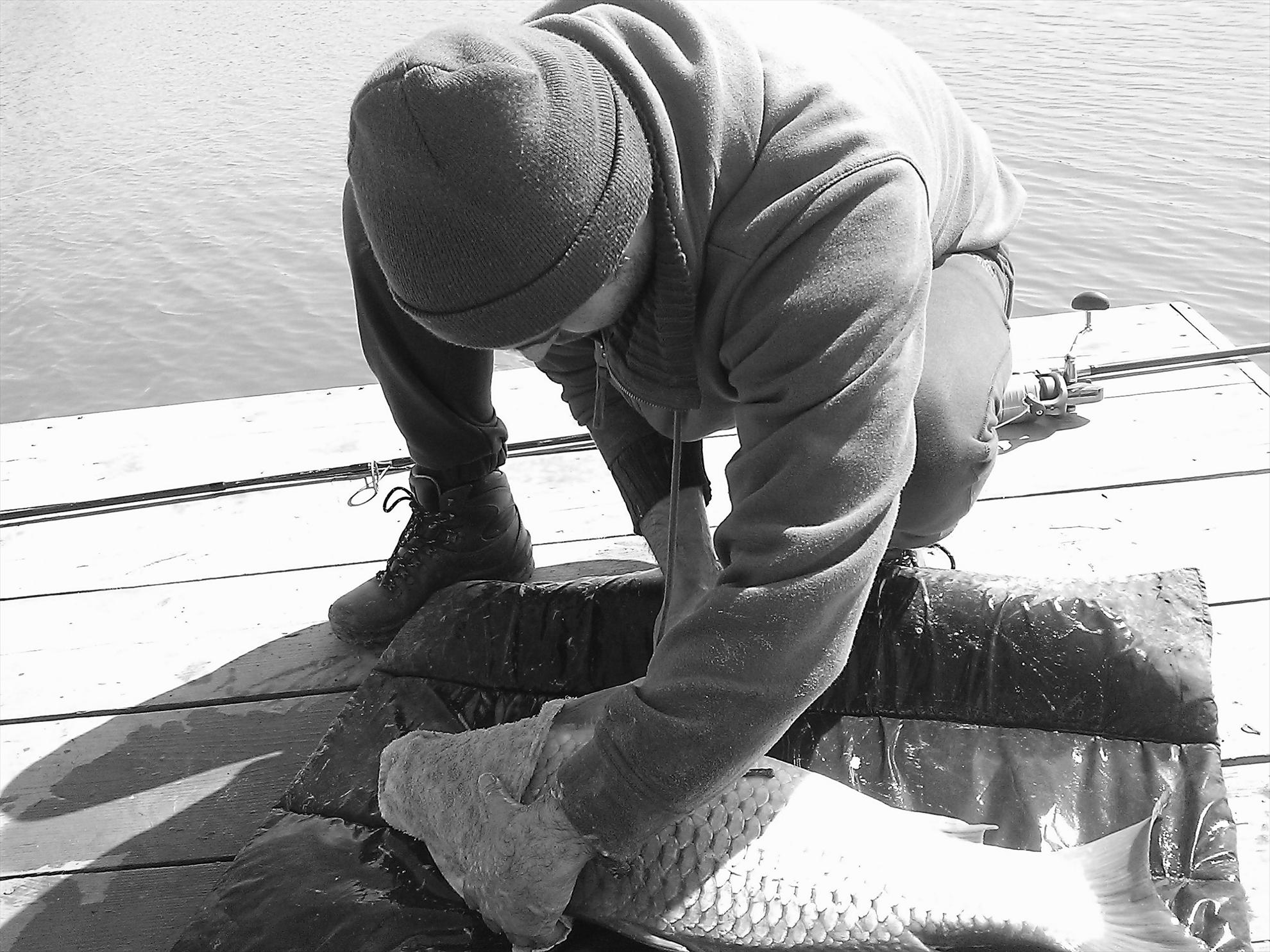 Fa-i poza daca poti... - wp201303230471.jpg